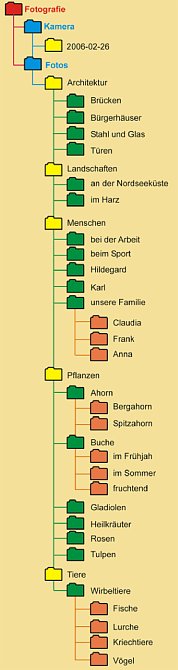Mögliche Ordnerstruktur auf einer Festplattenpartition »Fotografie« [Foto: Günter Hauschild]