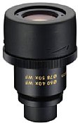 Nikon 40x Wide MC Okular