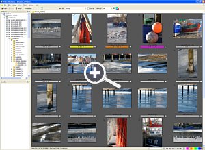 Das Browser-Fenster von Photo Mechanic [Foto: Dr. Bernd Schäbler]