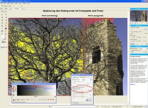 Bild 2. Freistellung des Hintergrunds mit Patch-Werkzeug  [Foto: Dr. Bernd Schäbler]
