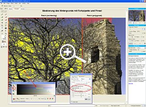 Bild 2. Freistellung des Hintergrunds mit Patch-Werkzeug  [Foto: Dr. Bernd Schäbler]