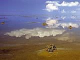 Fotofestival Nationalpark Wattenmeer Husum Nordfriesland [Foto: Dr. Martin Stock]