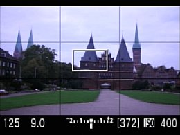 Canon EOS 40D Liveview [Foto: MediaNord]