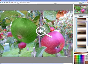 Die Arbeitsoberfläche von Coloriage 5.0 [Foto: Dr. Bernd Schäbler]
