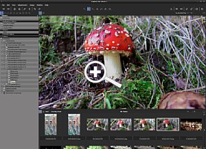 Capture One Arbeitsoberfläche mit Verzeichnisbaum [Foto: Dr. Bernd Schäbler]