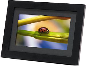 Braun DigiFrame 1100 [Foto: Braun]