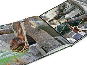 Gedruckte Fotos mit eigenen Büchern interaktiv erstellt - Fotobuch.de [Foto: MediaNord]