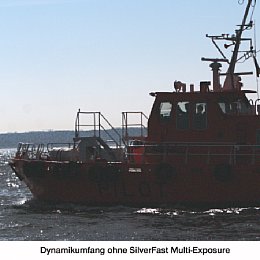 Dynamikumfang ohne SilverFast Multi-Exposure [Foto: LaserSoft Imaging]