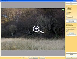 CEWE Fotokalender - Bildbearbeitungsmöglichkeiten [Foto: MediaNord]