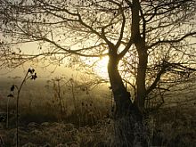 Kalter Morgen [Foto: golin]