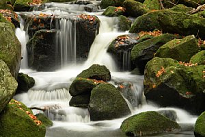 Wo der Wildbach rauscht [Foto: raiwa]