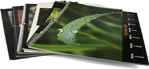 Fotokalender [Foto: MediaNord]