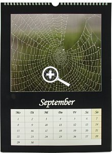 CeWe Fotokalender [Foto: MediaNord]