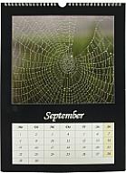 CeWe Fotokalender [Foto: Medianord e.K.]