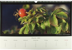 Fotobuch.de Fotokalender [Foto: MediaNord]