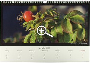 Fotobuch.de Fotokalender [Foto: MediaNord]