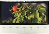 Fotobuch.de Fotokalender [Foto: Medianord e.K.]