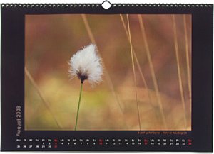 Fotobuch-XXL Fotokalender [Foto: MediaNord]