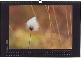 Fotobuch-XXL Fotokalender [Foto: MediaNord]