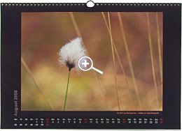 Fotobuch-XXL Fotokalender [Foto: MediaNord]