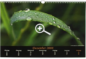 Pixelspeed Fotokalender [Foto: MediaNord]