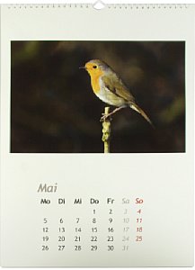 Pixum Fotokalender [Foto: MediaNord]