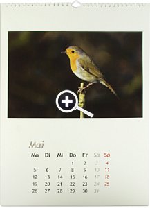 Fotokalender Pixum Bilderauswahl Miniaturfenster [Foto: MediaNord]