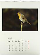 Pixum Fotokalender [Foto: Medianord e.K.]