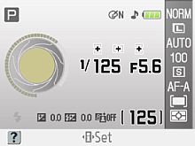 Nikon D60 LCD Info [Foto: Nikon]