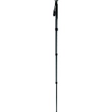 Gitzo GM2541 Serie 2 Carbon Einbeinstativ