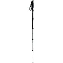 Gitzo GM2561T Einbeinstativ