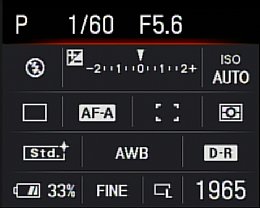 Sony Alpha 200 Infodisplay Detailanzeige [Foto: MediaNord]