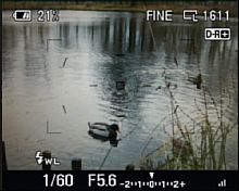 Sony Alpha 350 – Live View [Foto: MediaNord]