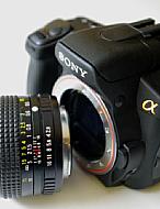 Minolta Rokkor an Sony Alpha [Foto: Yvan Boeres]