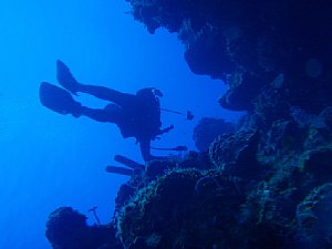 Auf Tauchgang in der Karibik mit der Olympus mju 850 SW [Foto: scuba photo factory]