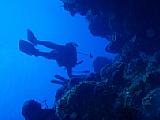 Praxistest Olympus mju 850SW – Auf Tauchgang in der Karibik [Foto: scuba photo factory]