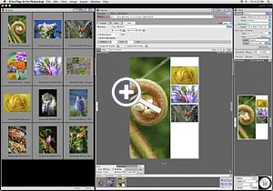 Epson Photoshop Print-Plug-in Mainscreen [Foto: Epson]