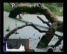 Olympus E-520 — LiveView mit Histogrammeinblendung [Foto: MediaNord]