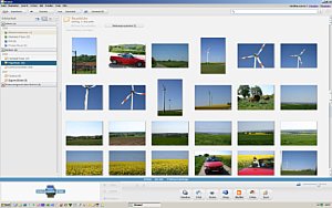 Picasa 2.7 – Programmoberfläche mit Ordnern und Alben [Foto: Ronny Lauer]