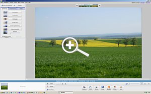 Picasa 2.7 – Einzelansicht mit Optimierungswerkzeugen [Foto: Ronny Lauer]
