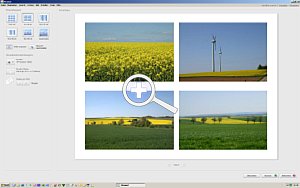 Picasa 2.7 – Druckmenü mit automatischer Anordnung mehrerer Bilder auf einem Blatt  [Foto: Ronny Lauer]