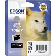 Epson C13T09674010 light black