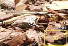 Casio Exilim Pro EX-F1 Wiedergabezoom [Foto: MediaNord]