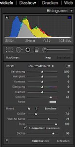 Adobe Photoshop Lightroom 2 - rechtes Bedienfeld, Menü, Korrekturpinsel  [Foto: MediaNord]