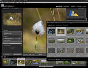 Testbericht Adobe Systems Photoshop Lightroom 2 Digitalkamera De Softwarerezension