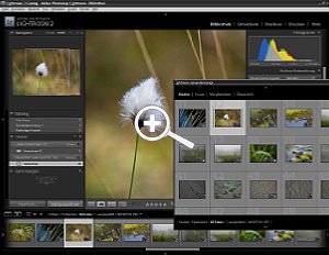 Adobe Photoshop Lightroom 2 - zweites Monitorbild [Foto: MediaNord]
