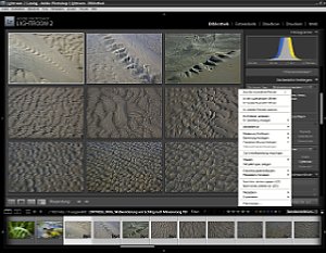 Adobe Photoshop Lightroom 2 - Überprüfungsansicht  [Foto: MediaNord]