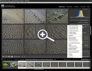 Adobe Photoshop Lightroom 2 - Überprüfungsansicht  [Foto: MediaNord]