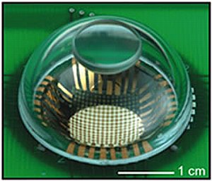 Neuer, gekrümmter Bildsensor in der Entwicklung bei der Northwestern University of Illinois/USA [Foto: Northwestern University, Illinois]