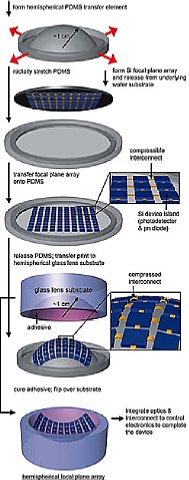 Prinzip der Herstellung eines hemisphärischen Bildsensors [Foto: University of Illinois at Urbana-Champaign UIUC]